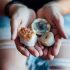 FAQs About Mediums